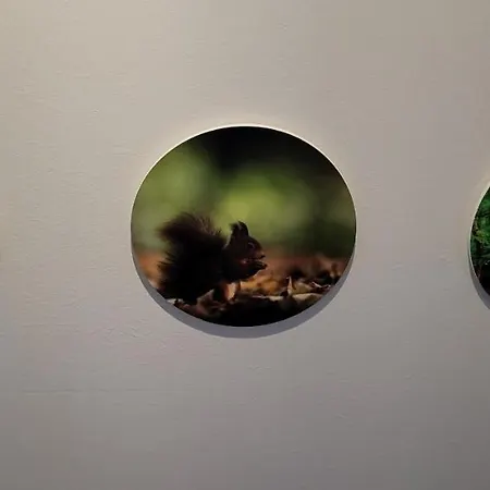 木屋 Luxe De Cuberdon In