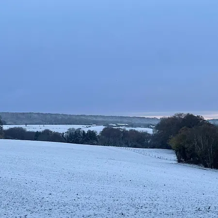Luxe De Cuberdon In 杜柏