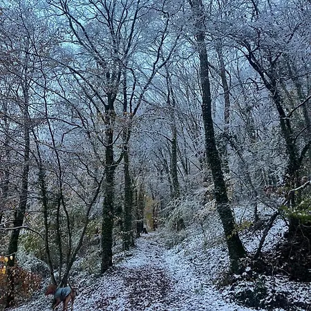 Luxe De Cuberdon In *